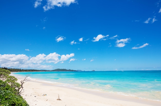 Belas paisagens na ilha de Oahu, Havaí