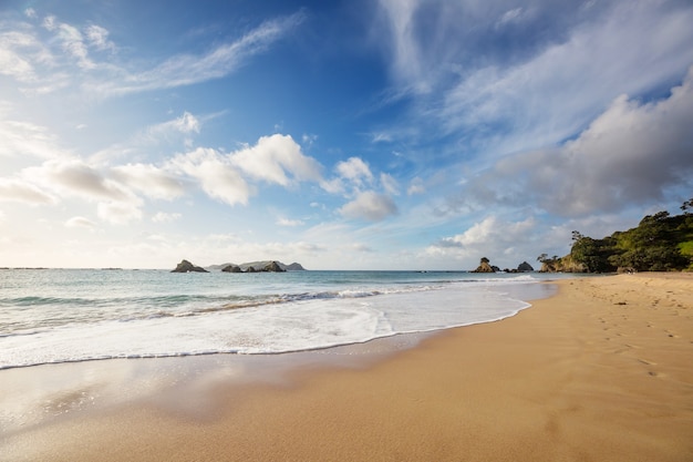 Belas paisagens na Ocean Beach, Nova Zelândia.