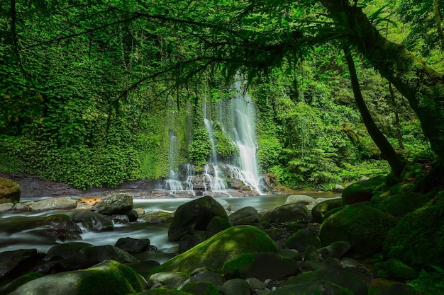 Belas paisagens naturais de cachoeiras na floresta tropical da Indonésia