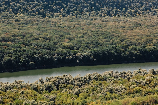 Belas paisagens naturais de um rio em uma floresta verde com montanhas ao fundo