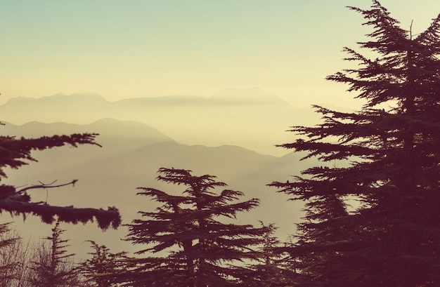 Foto belas paisagens naturais nas montanhas da turquia. a via lícia é famosa entre os caminhantes.