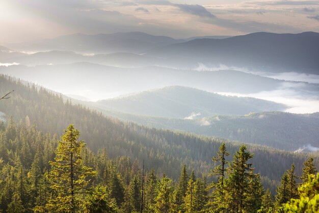 Belas paisagens naturais nas montanhas dos cárpatos