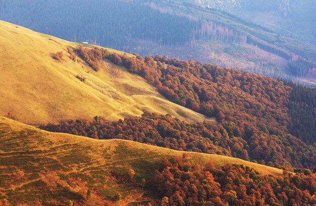 Belas paisagens naturais nas montanhas dos Cárpatos