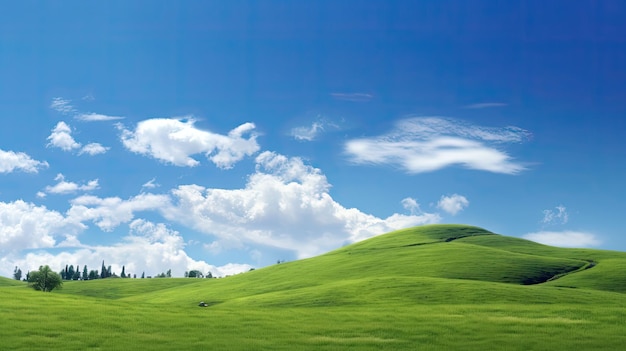 Belas paisagens naturais, pastagens verdes e altas montanhas