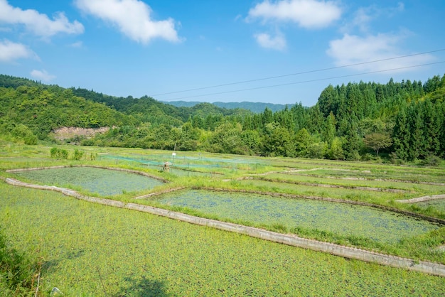 Belas paisagens rurais na China