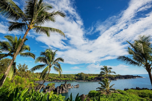 Belas paisagens tropicais na ilha de Maui, Havaí