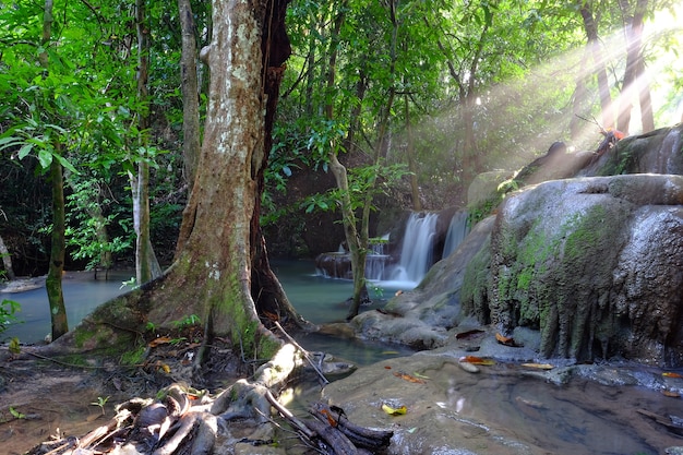 Belas pequenas cachoeiras escondidas na selva