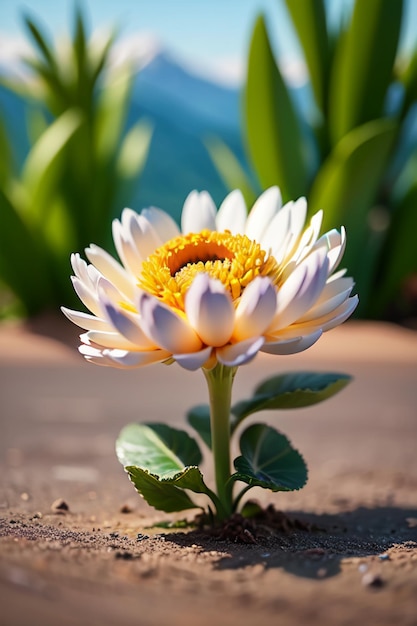 Belas plantas amarelas flores de crisântemo selvagem como girassóis belo fundo de papel de parede