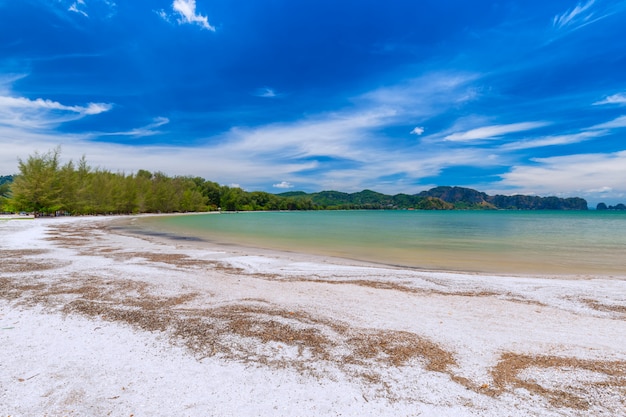 Belas praias de areia e vista para o pinheiro em paradise islandin krabi tailândia