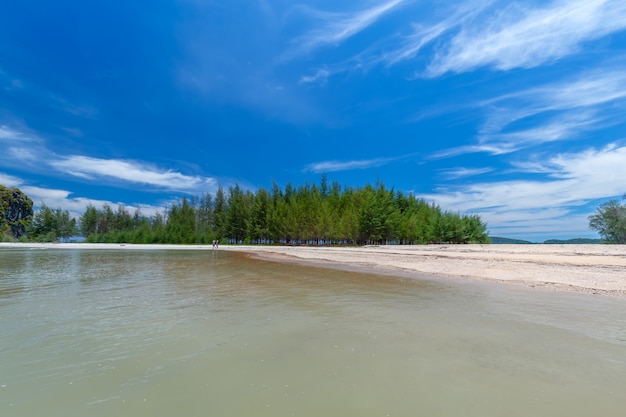 Belas praias de areia e vista para o pinheiro em Paradise Islandin krabi Tailândia