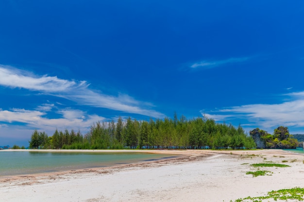 Belas praias de areia e vista para o pinheiro em Paradise Islandin krabi Tailândia