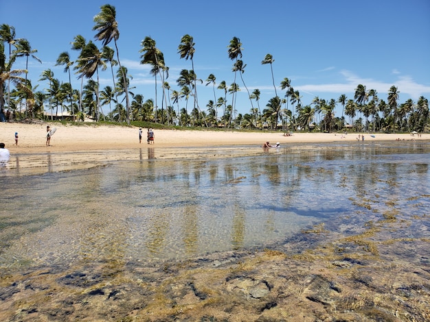 Foto belas praias do mundo