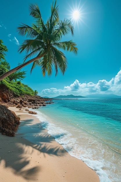 Belas praias tropicais com cocos