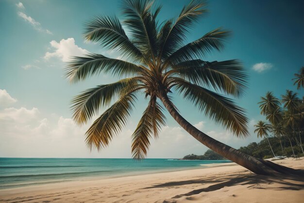 Belas praias tropicais com palmeiras de coco