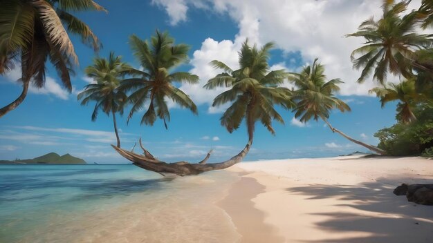 Belas praias tropicais e mar com palmeiras de coco na ilha do paraíso