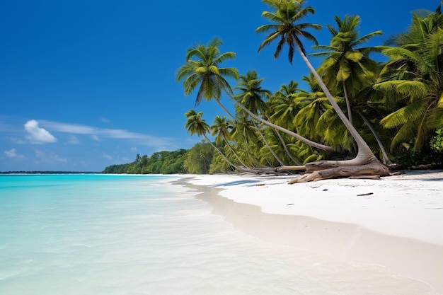 Belas praias tropicais, mar e areia, com palmeiras de coco no céu azul e nuvens brancas.