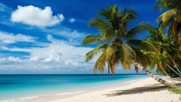 Belas praias tropicais, mar e areia, com palmeiras de coco no céu azul e nuvens brancas.