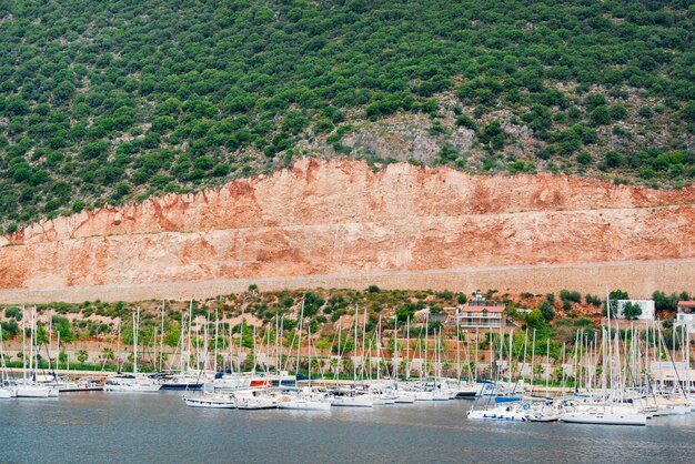 Belas vistas da marina muitos iates com mastros ancorados perto da costa rochosa verde