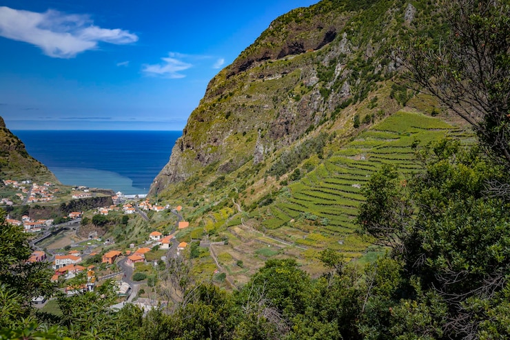 Foto belas vistas e paisagens de vida selvagem da ilha portuguesa da madeira