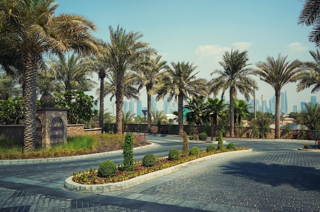 Belas vistas verdes da cidade de Dubai