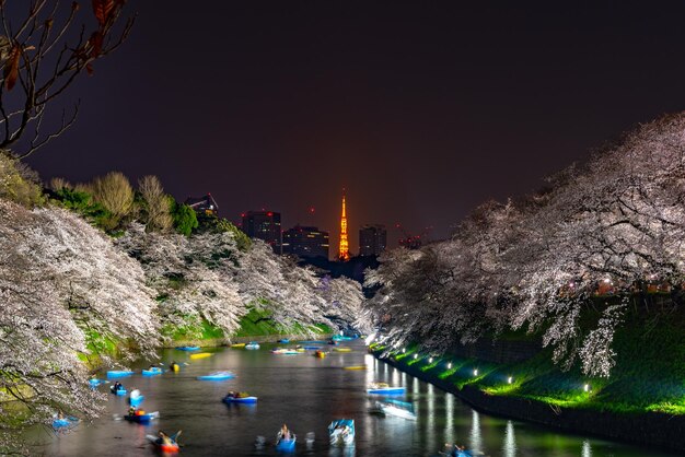 Foto beleuchtete gebäude am fluss gegen den himmel in der nacht