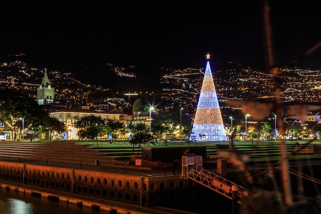 Foto beleuchteter weihnachtsbaum in der nacht