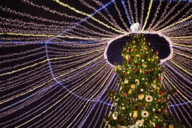 Foto beleuchteter weihnachtsbaum in der nacht