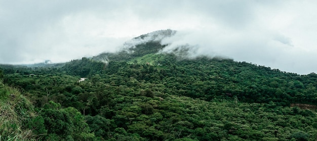 Beleza colombiana em uma paisagem linda e espetacular