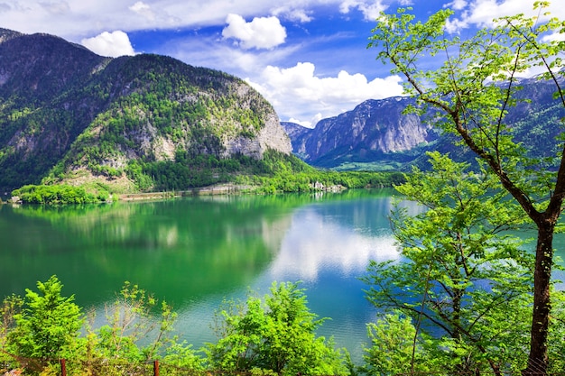 Beleza da natureza, cenário alpino e lago Hallstatt nos Alpes austríacos