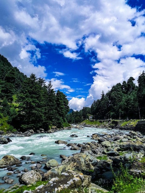 Foto beleza da natureza