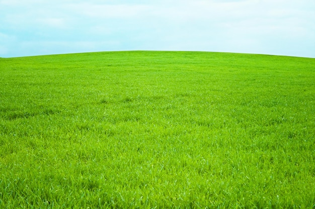 Beleza de cenário de paisagem de primavera em paisagens da natureza e conceito de meio ambiente