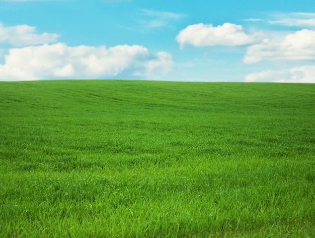 Beleza de cenário de paisagem de primavera em paisagens da natureza e conceito de meio ambiente