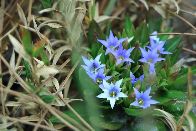 Beleza na natureza