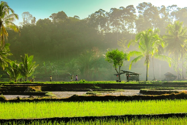 Beleza natural da indonésia com fotos aéreas incríveis nuvens