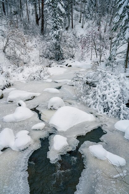 Foto beleza paisagem de inverno com árvores justas e rio sob a neve