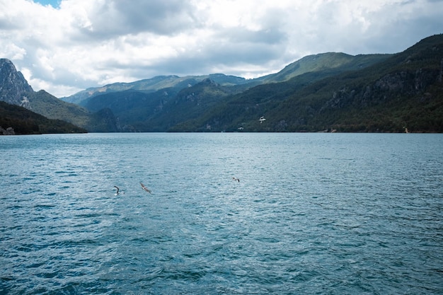 Beliebte Touristenattraktion schöne Naturansicht mit Fjord und Bergen im Wasser Künstlerischer Naturkopierraum