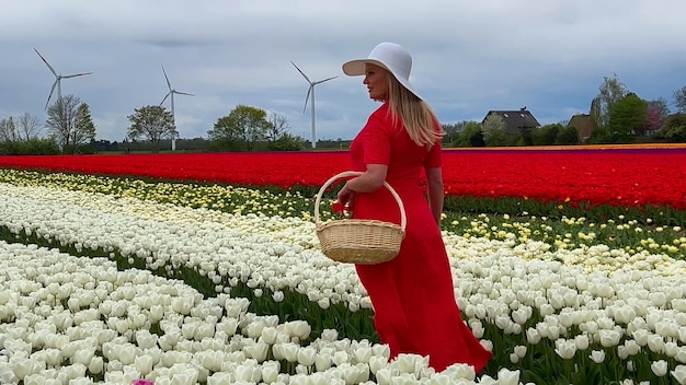 Bella chica rubia en vestido rojo y sombrero de paja blanco con canasta de mimbre en coloridos campos de tulipanes