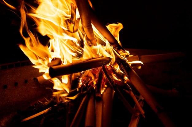 Foto bella formación de fuego creada por la quema de algunas cañas secas formando llamas espectaculares y brillantes
