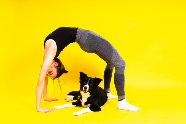 Bella hembra con border collie en estudio de fondo amarillo y rojo