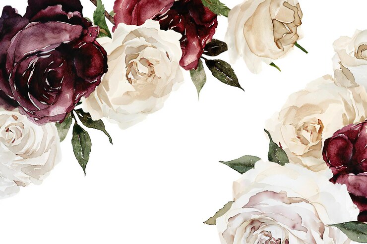Bella ilustración en acuarela con flores de peonía dibujadas a mano sobre un fondo blanco
