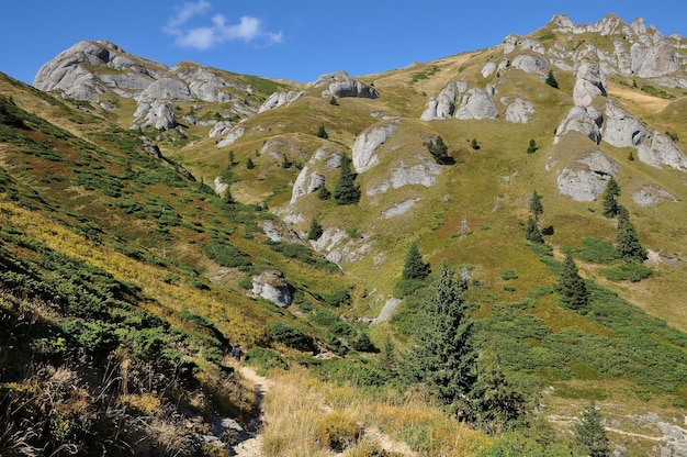 Bella vista de las montañas rocas sedimentarias en los Cárpatos