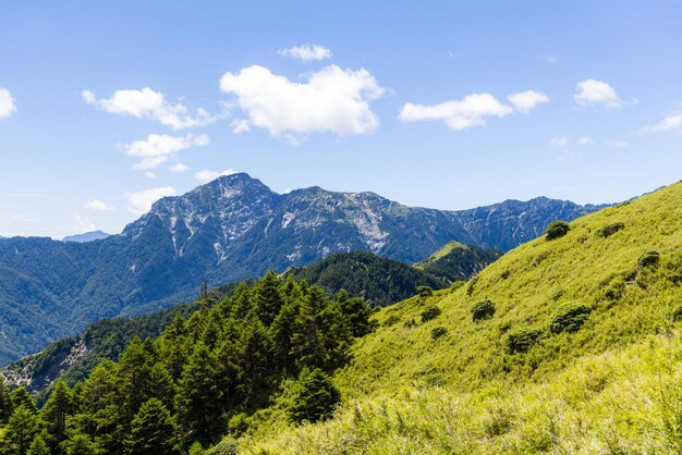 Foto bella vista del paisaje montañoso en el área recreativa nacional del bosque hehuanshan en nantou, taiwán