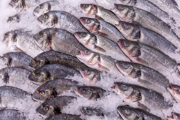 Bellamente descompuesto pescado refrigerado sobre hielo en el supermercado.