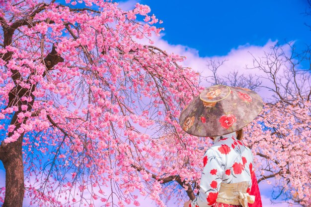 Foto la belleza de las flores de jerez en el palacio de gyeongbokgung, corea del sur