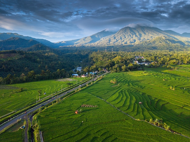 La belleza natural de bengkulu a partir de fotos aéreas en el momento en los campos de arroz.