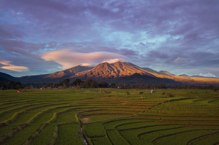 Foto la belleza natural de los campos de arroz con montañas azules en el norte de bengkulu, indonesia