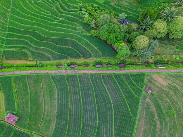 La belleza natural de Indonesia con fotos aéreas en la cordillera.