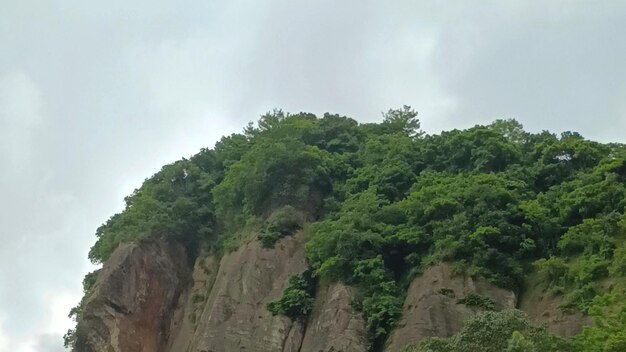 Foto belleza natural paisaje hoja verde cielo azul horizonte valle