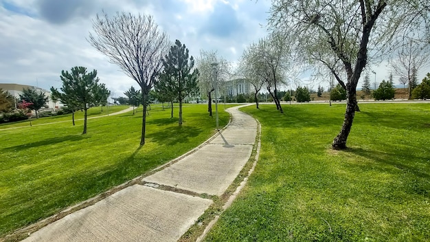 La belleza de la naturaleza en una mañana soleada de primavera