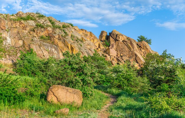 La belleza de la naturaleza en Migiya, Ucrania